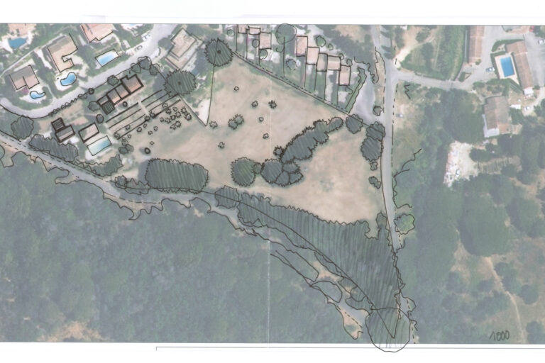 Lire la suite à propos de l’article Le jardin des contrastes