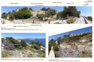 Le Frioul, étude génie écologique pour la Parc national des Calanques