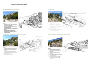 Le Frioul, étude génie écologique pour la Parc national des Calanques